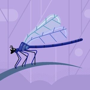 Meet your Posher, Laurie